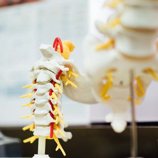 POSTURA E GLUTEI