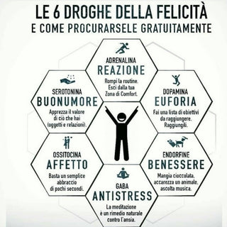 LE DROGHE DELLA FELICITÀ