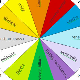 L’OROLOGIO DEGLI ORGANI