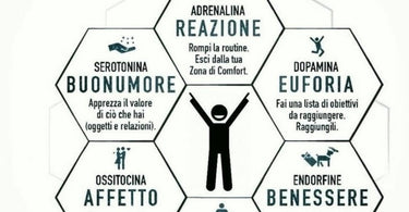 LE DROGHE DELLA FELICITÀ